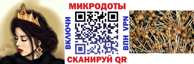 Галлюциногенные грибы MAGIC MUSHROOMS  Губкин 